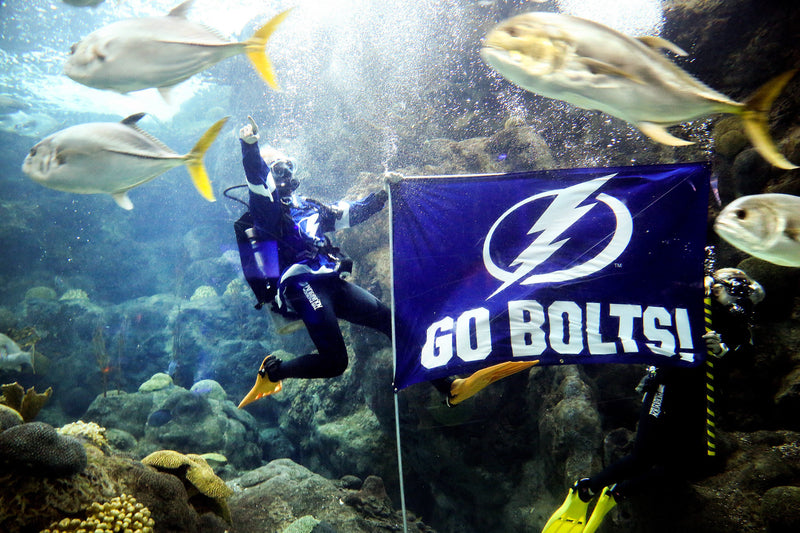 THUNDERSTRUCK: The Tampa Bay Lightning’s 2020 Stanley Cup Championship Season