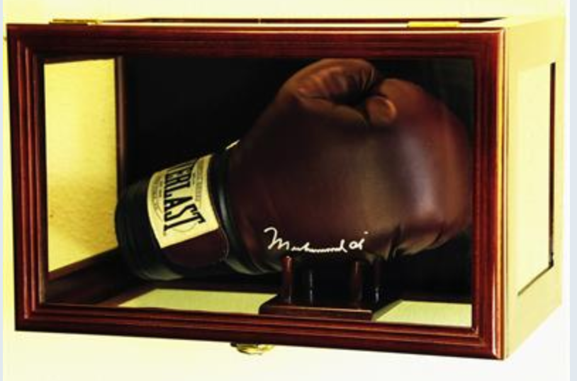Boxing glove glass case shop