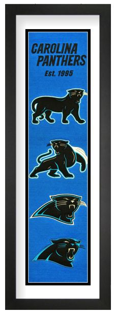 Carolina Panthers NFL Heritage Framed Embroidery