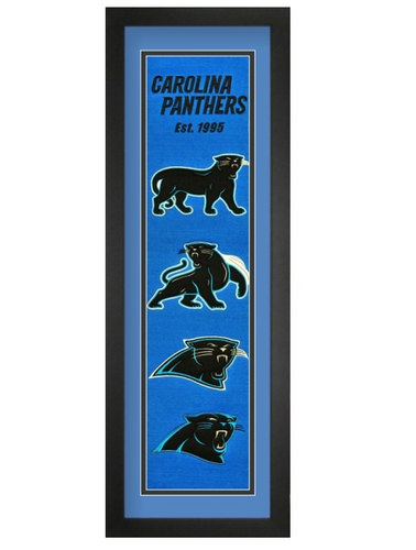 Carolina Panthers NFL Heritage Framed Embroidery