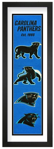 Carolina Panthers NFL Heritage Framed Embroidery