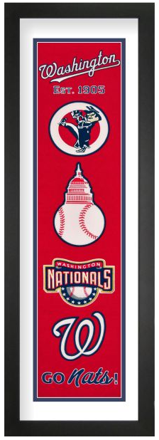 Washington Nationals Heritage Framed Embroidery