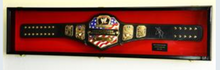 Wrestling Belt Display Case Cabinet 54"