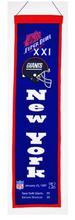 Super Bowl XXI Heritage Banner